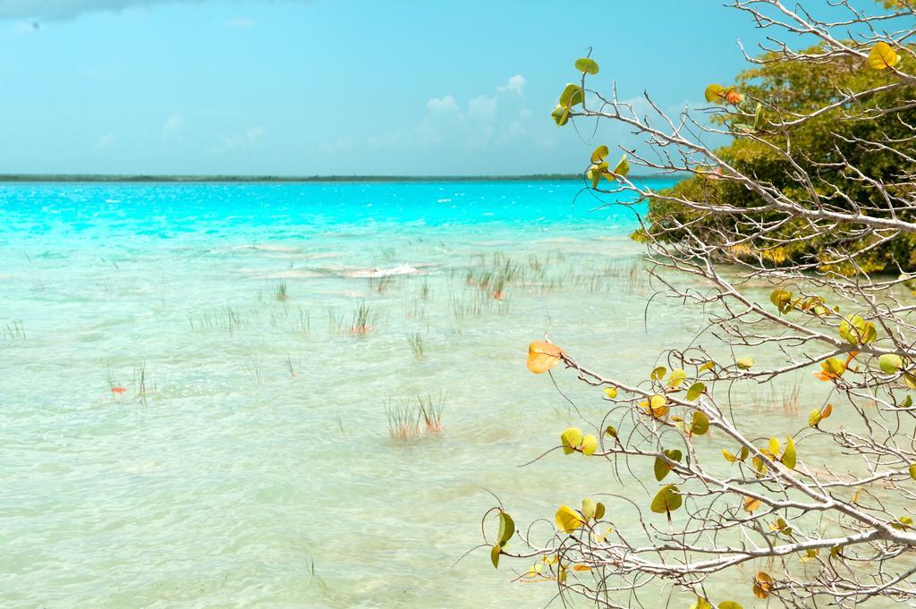 Hotel Rancho Encantado Bacalar Exterior photo